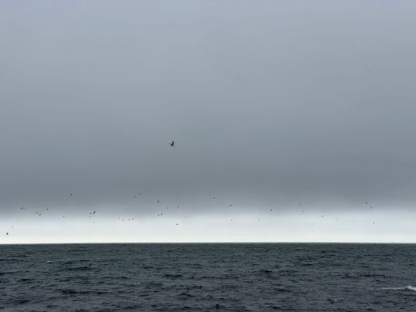 Horizon